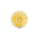 Versace Medusa Rhapsody Bread & Butter Plate, 6 2/3 in