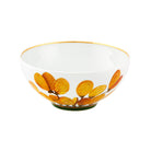 Vista Alegre Amazónia Cereal Bowl on a white background