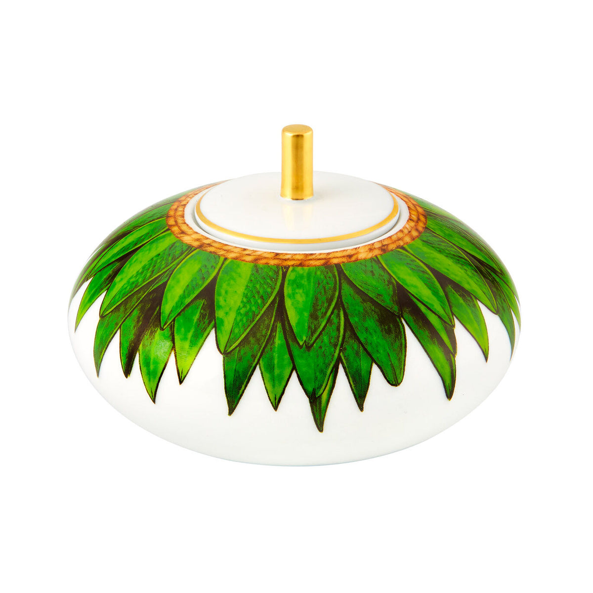 Vista Alegre Amazónia Sugar Box on a white background
