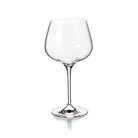 Vista Alegre Aroma Set of 4 Water Goblets on a white background