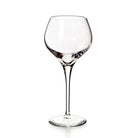 Vista Alegre Lybra Red Wine Goblet on a white background
