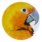 Vista Alegre Olhar o Brasil Charger Plate Guaruba on a white background