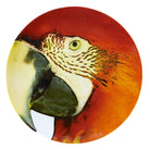Vista Alegre Olhar o Brasil Charger Plate Red Macaw on a white background