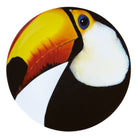 Vista Alegre Olhar o Brasil Charger Plate Toucan on a white background