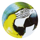 Vista Alegre Olhar o Brasil Charger Plate Yellow Bellied Macaw on a white background