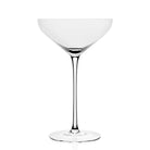William Yeoward Starr Coupe, handmade crystal, on a white background